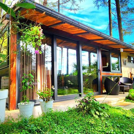 House & Yard Sesil Xs 60M To Beach Ureki Exterior foto
